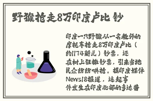 亚洲欧洲精品专线二区三区